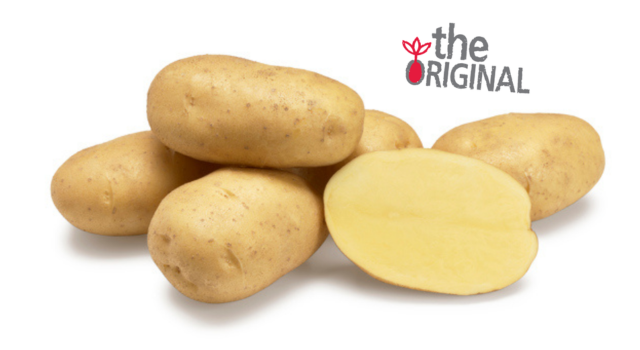 Aardappelras Agria Agrico Original