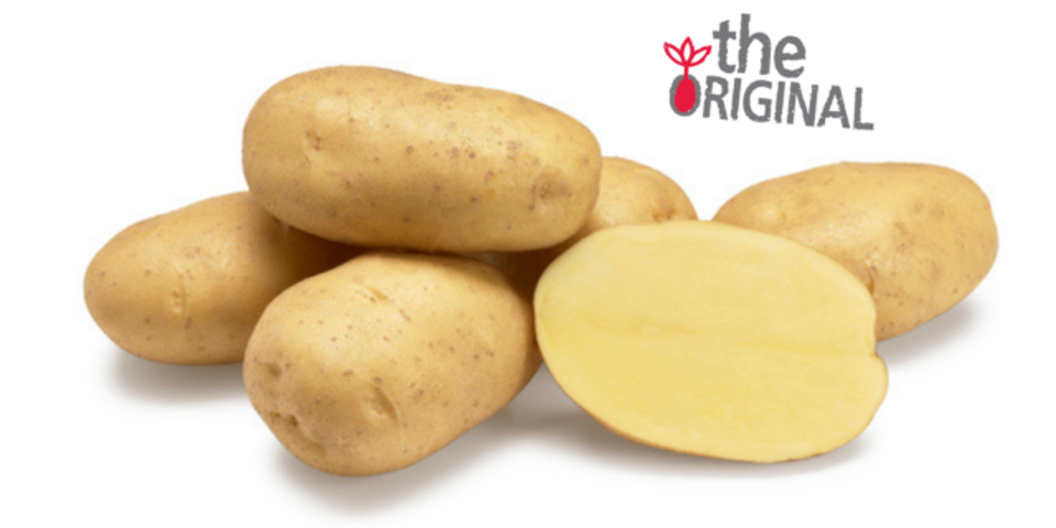 Aardappelras Agria Agrico Original