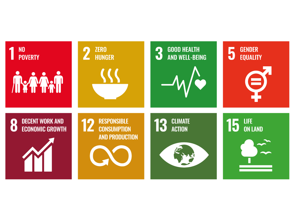 Overzicht Iconen CSR Web