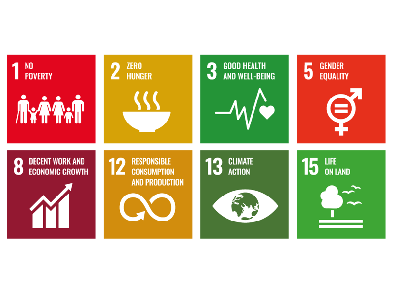 Overzicht Iconen CSR Web