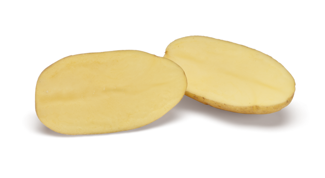 Pootaardappelras Ditta
