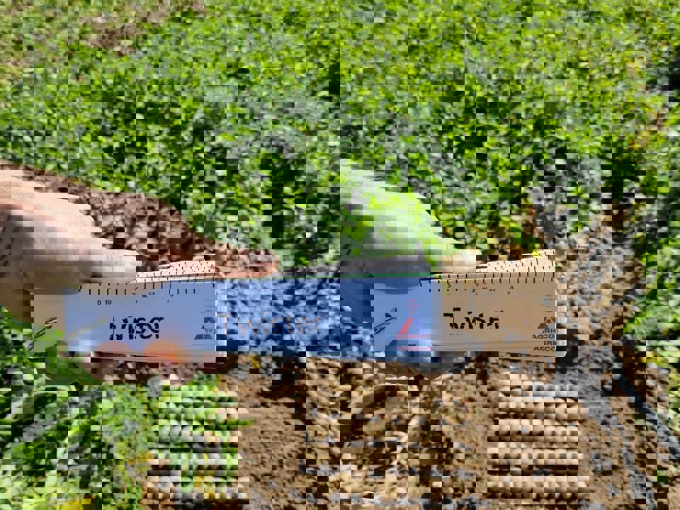 Polen Samples Sept 2025 25.