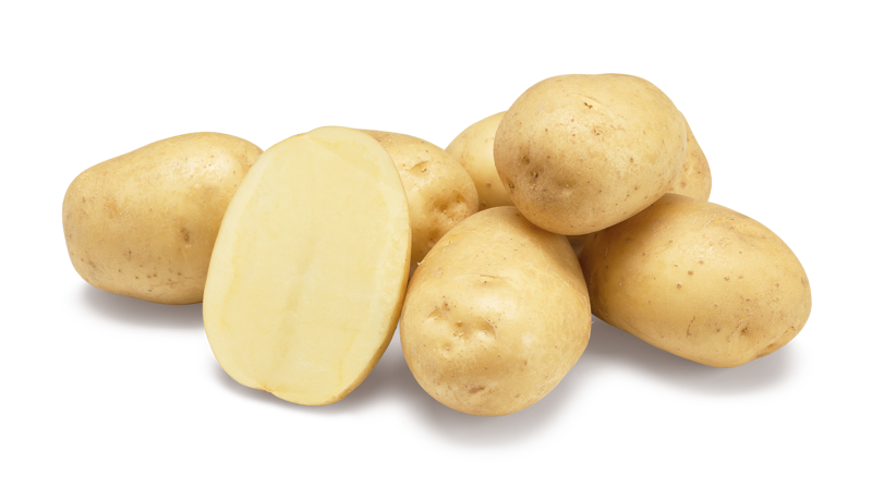 Agata nestje met doorsnee