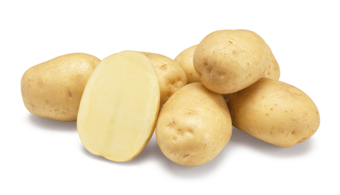 Agata nestje met doorsnee