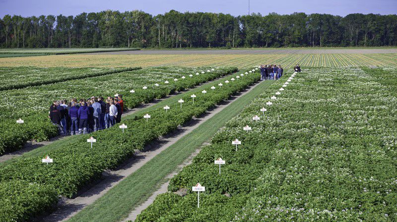 Klaas Eissens Agrico Rs 03 07 19 Boeren Demovelden 5