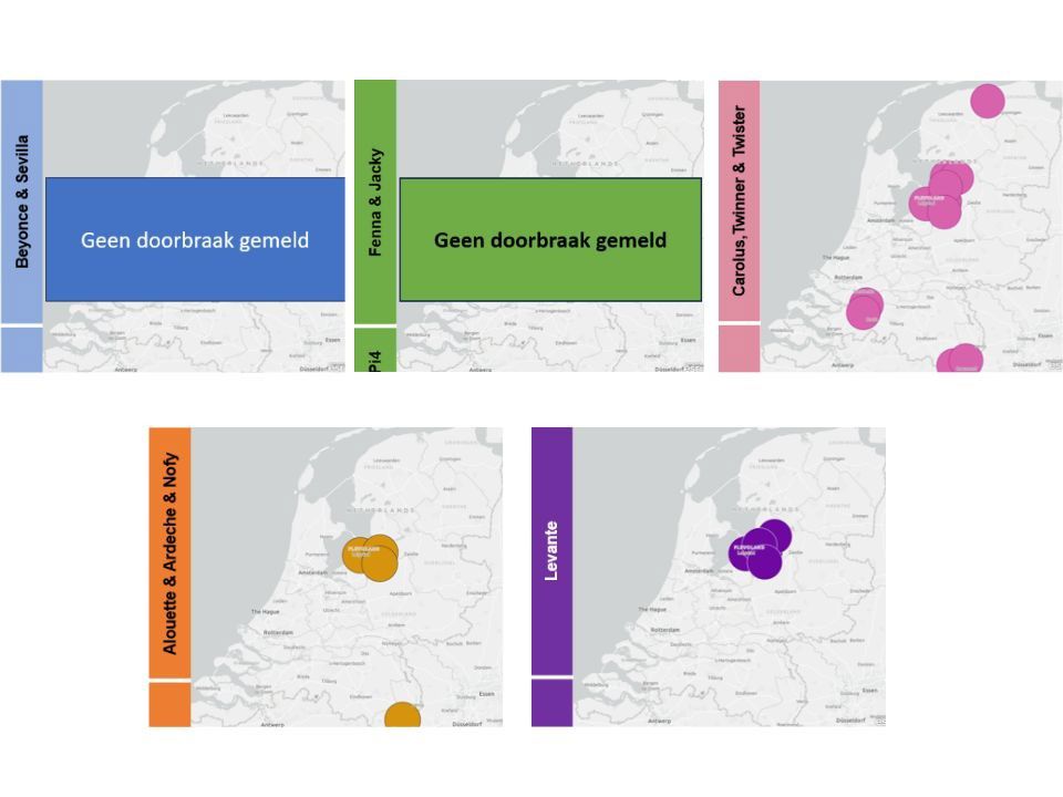 Phytophthora Nieuwsbericht