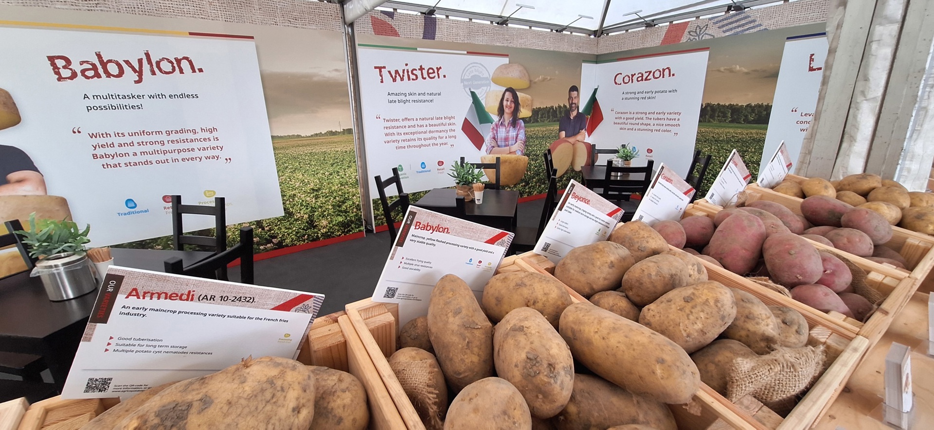 Babylon variety display at trade fair