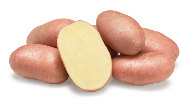 Aardappelras Corazon