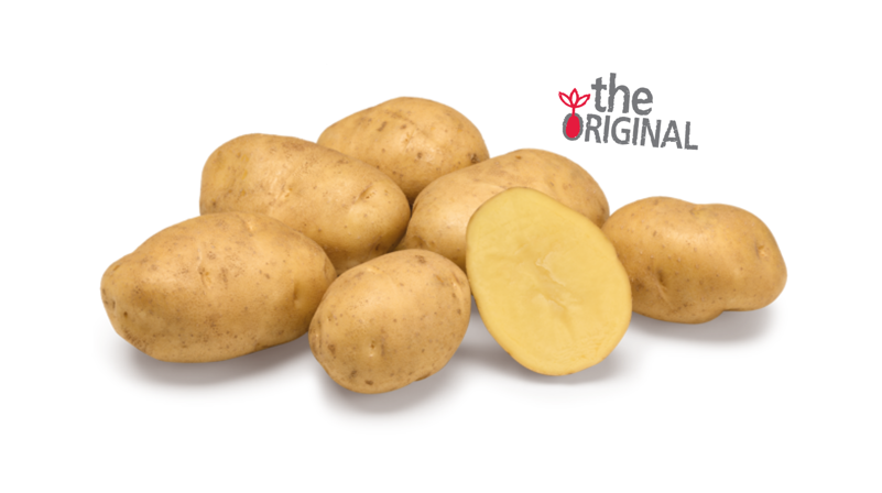 Agrico Original Sinora