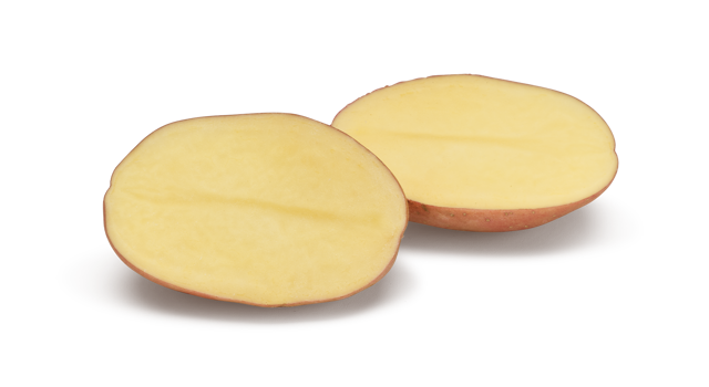 Pootaardappelras Manitou