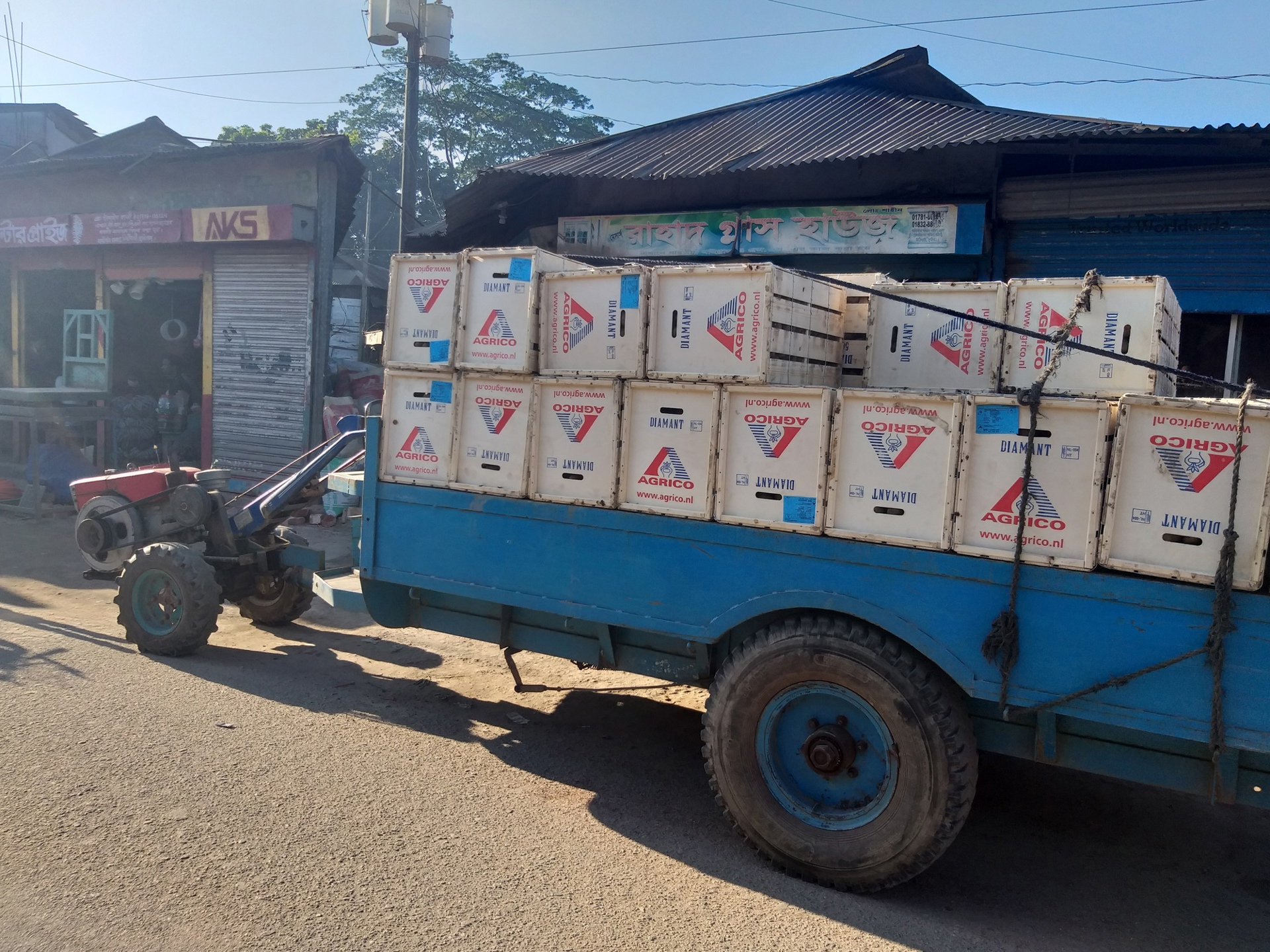 Tractor trailer loaded with boxes of Agrico seed potatoes in Bangladesh