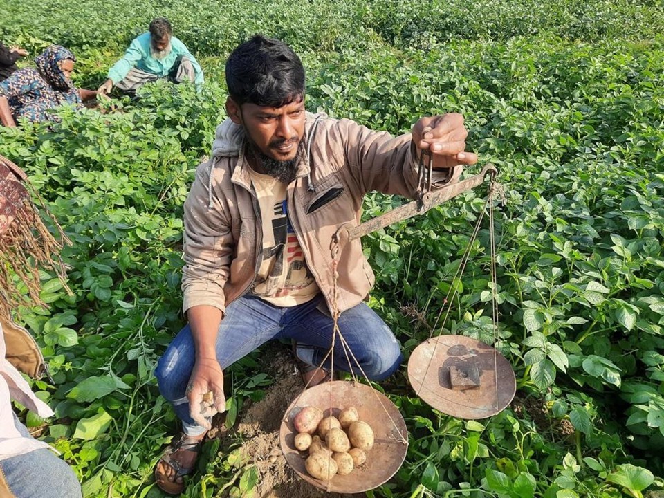 Harvest Bangladesh