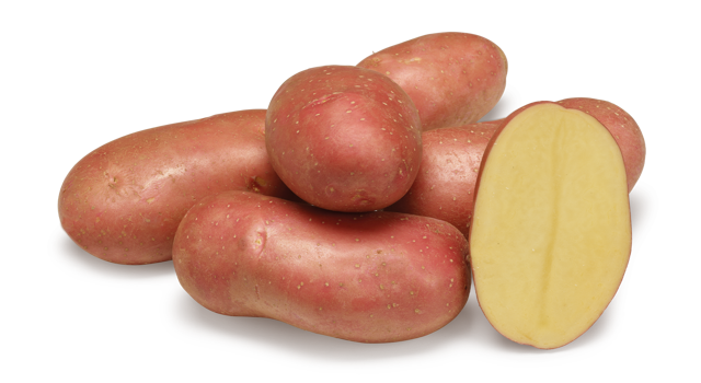 Manitou nestje met doorsnee