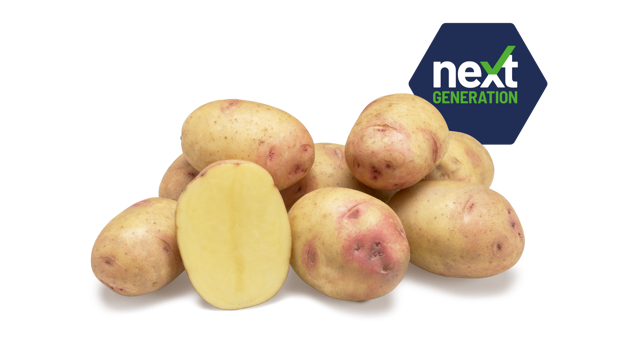 Next Generation Carolus