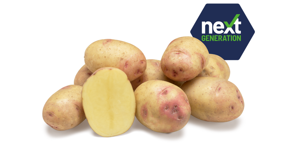 Next Generation Carolus