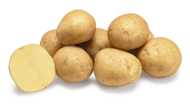 Aardappelras Corsica