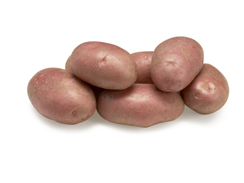 Evolution Agrico Nl Hr 2020