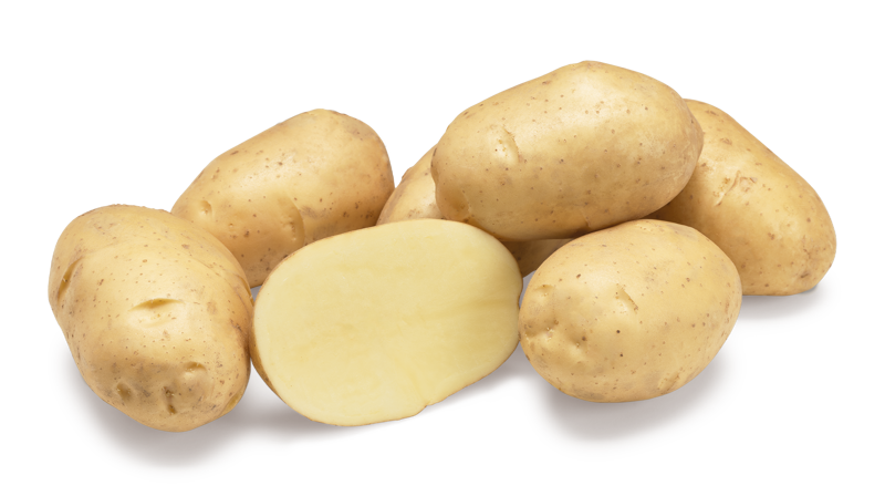 Markies nestje met doorsnee