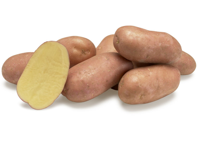 Manitou GRB CL©Agrico19