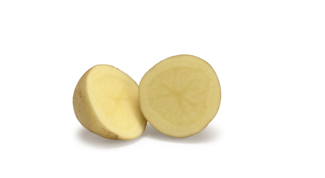 Jacky SNG CC®Agrico20