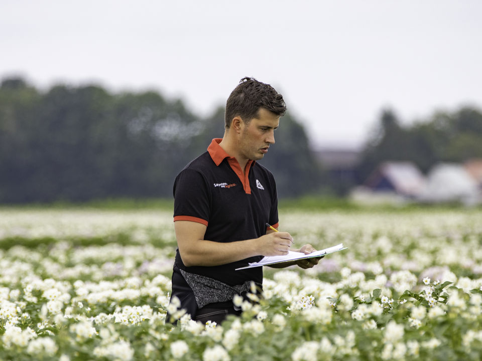 Agrico inspecting quality demo field