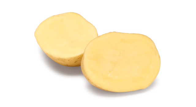 Pootaardappelras Thalia