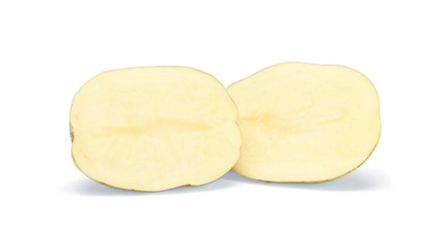 Indeling Websitefoto's LR Sevilla Lengte