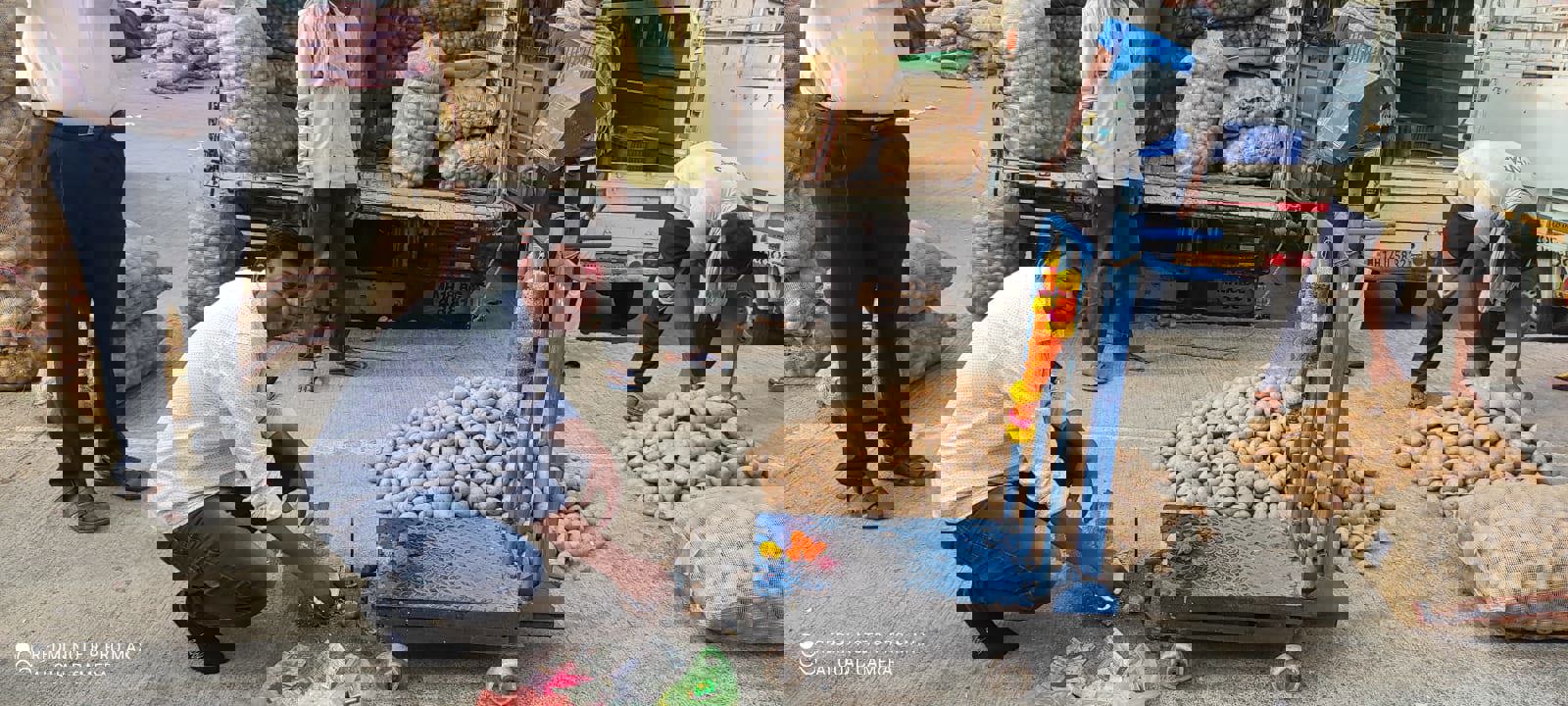 India potato markets