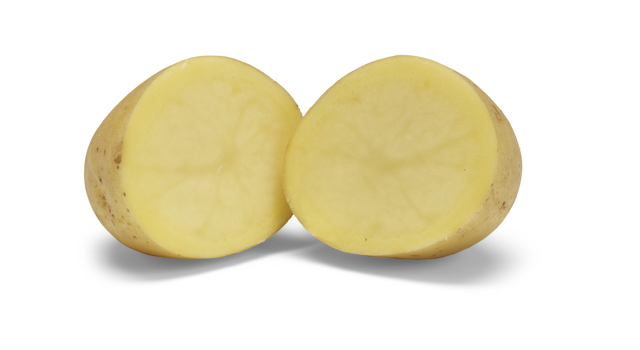 Spectra SNG CC®Agrico20