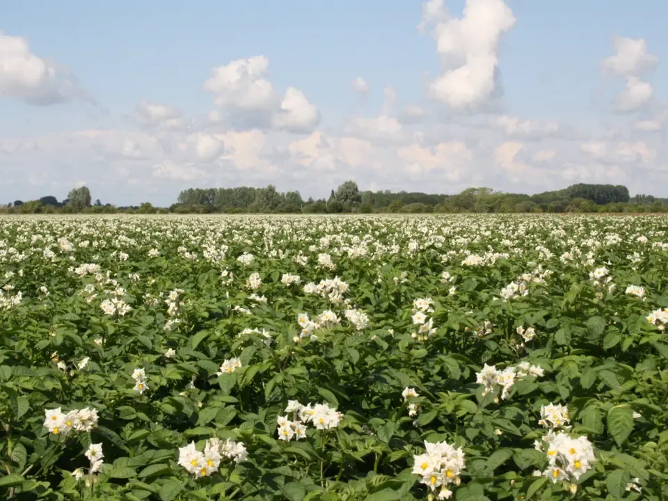 30 06 11 Uitbetalingsvergadering Kruisland 0390 (1)