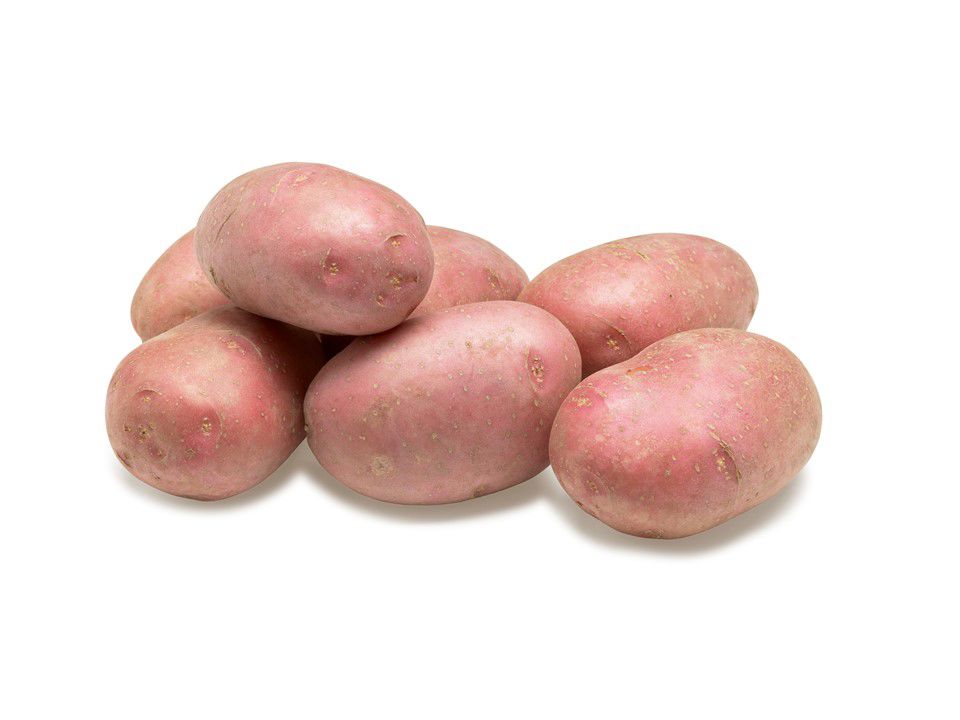 Alouette Nieuw Agrico Nl Hr 2020