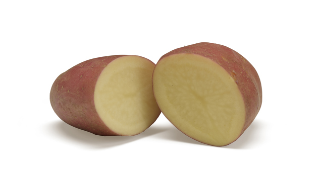 Corazon SNG CC®Agrico20