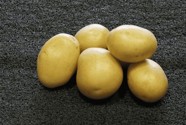 Parkland Arizona (1)