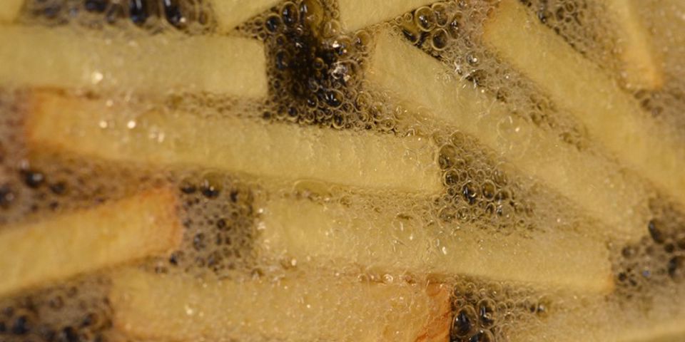 Frites Frituren 5 Agrico 2019 Liggend