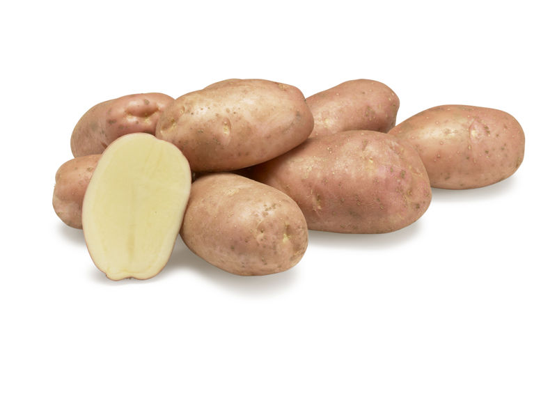 Kondor nestje met doorsnee