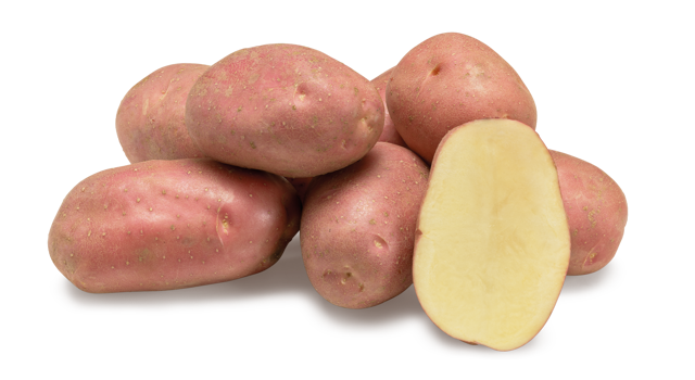 Aardappelras Kuroda