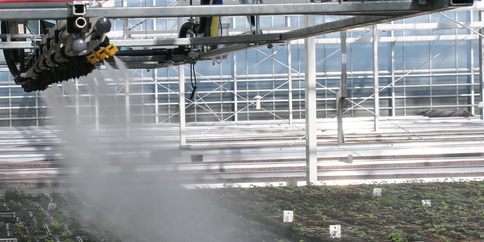 Research for new innovative varieties