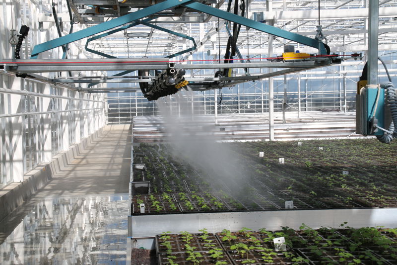 Research for new innovative varieties