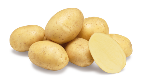 Ranomi nestje met doorsnee