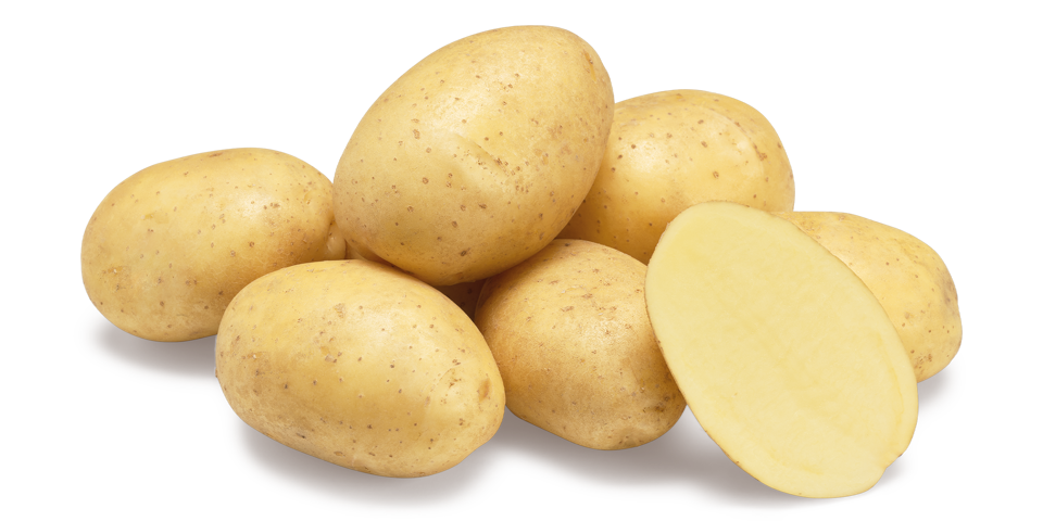 Ranomi nestje met doorsnee