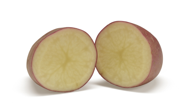 Meryem SNG CC®Agrico20