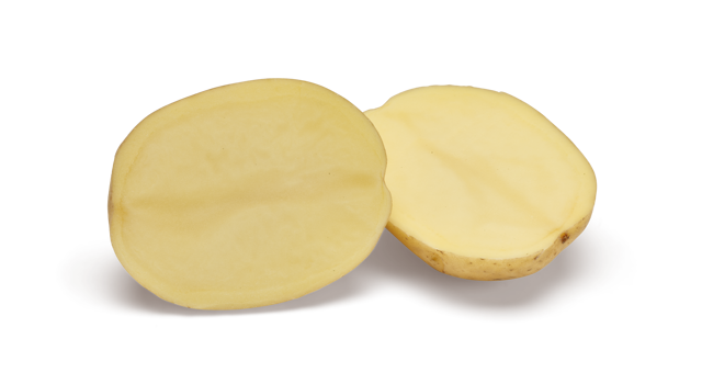 Spectra SNG CL®Agrico20