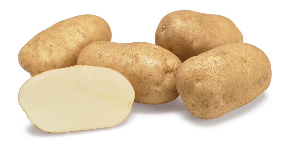 Prince nestje met doorsnee