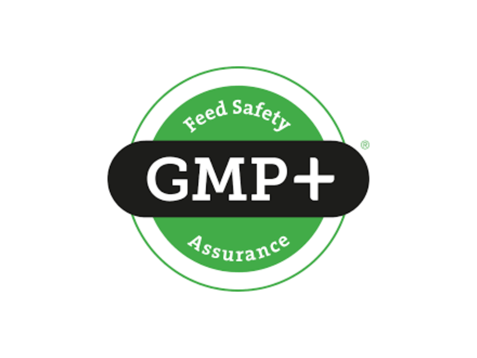 GMP Logo