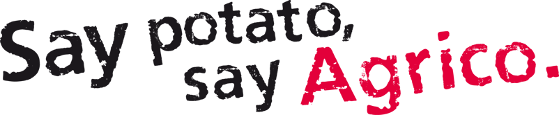 Slogan Say 960X720px