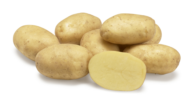 Excellency nestje met doorsnee