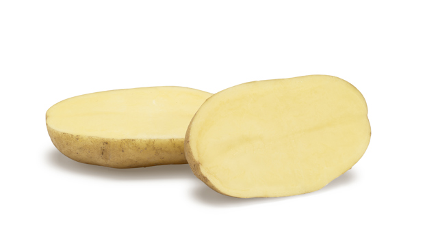 Excellency SNG CL®Agrico20