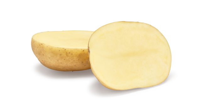 Agata SNG CL®Agrico20