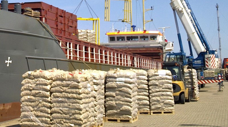 Shipment of seed potatoes at the harbor