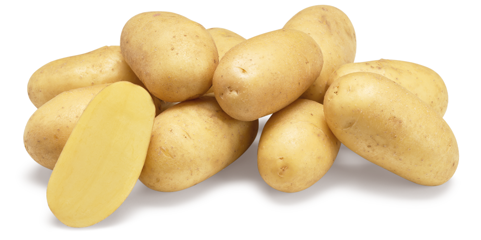 Chateau nestje met doorsnee